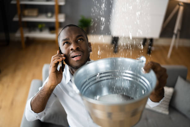 Best Emergency water damage restoration  in Senath, MO