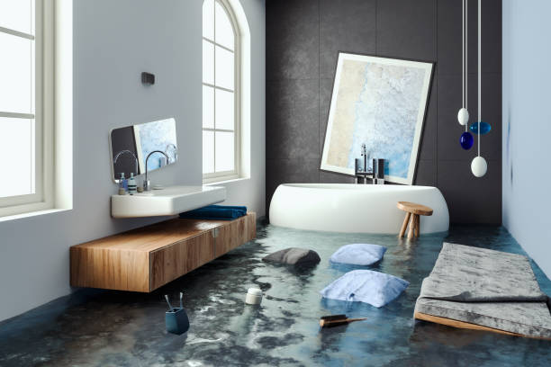 Best Water damage restoration company  in Senath, MO
