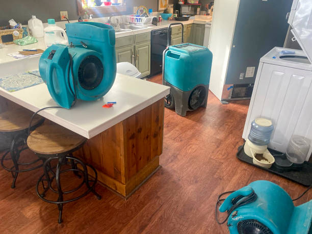 Best 24-hour water damage restoration  in Senath, MO