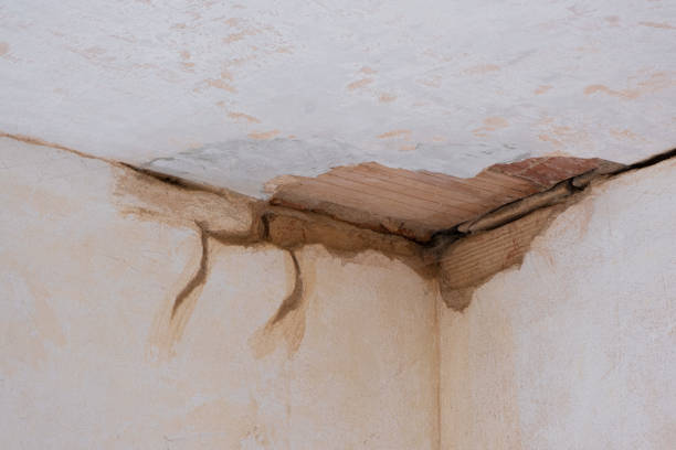 Best Water damage restoration process  in Senath, MO