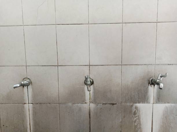 Best Fire Damage Restoration  in Senath, MO
