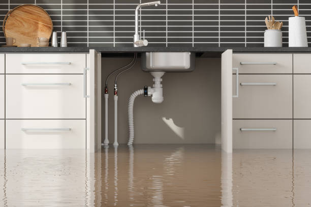  Senath, MO Water damage restoration Pros
