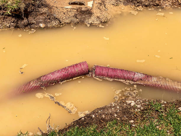 Sewage cleanup and water damage restoration in Senath, MO