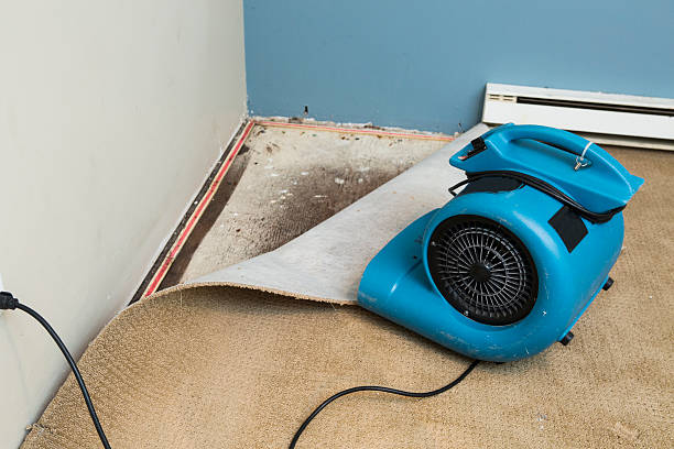 Best Basement water damage restoration  in Senath, MO